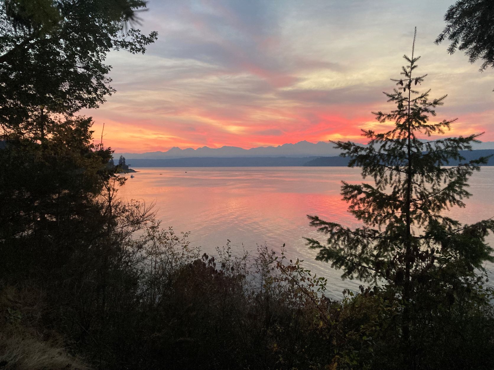 Kitsap Memorial State Park — Washington Trails Association